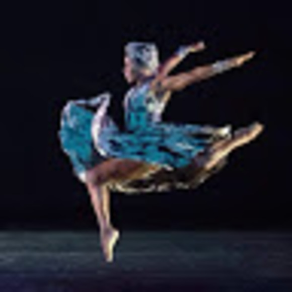 Meet your Posher, Shell - Picture 1 of 1